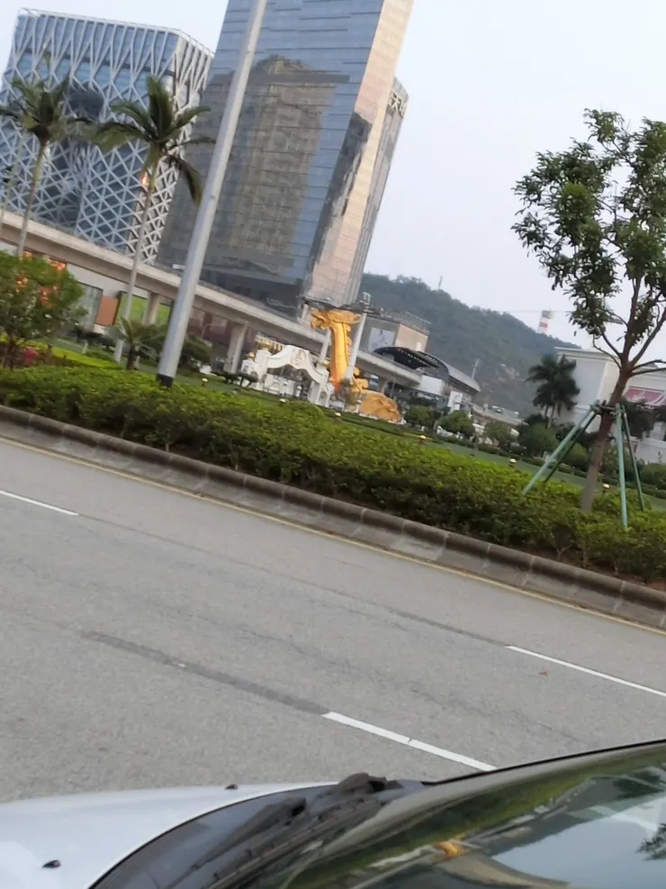 走著發現遠處有條金龍!