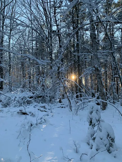 冬日的陽光一樣可以帶來朝氣和溫暖。