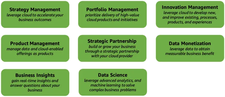 一張描繪 AWS CAF 業務視角功能的圖表。