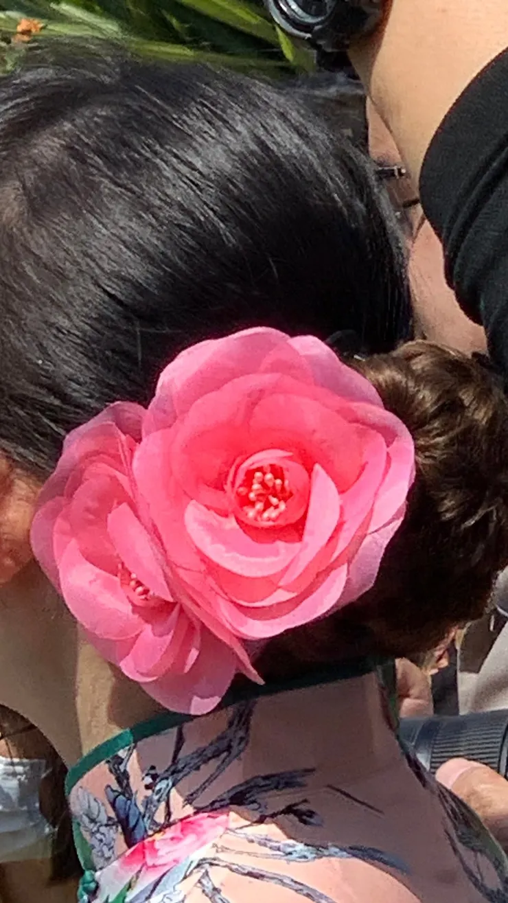 茶花女