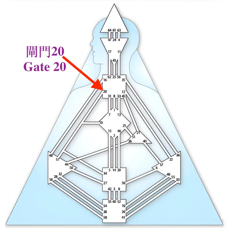 閘門20（圖源：互聯網+DIY）