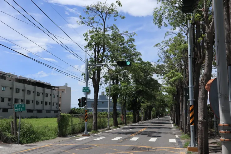 進學路綠色隧道