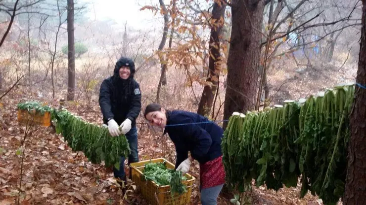 八年 WWOOFing 留下為數不多的紀錄之一