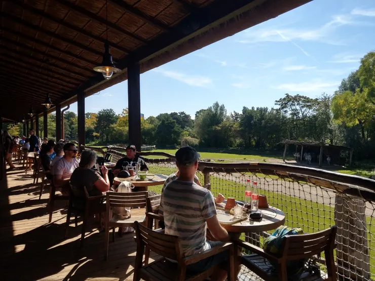 園內有自助餐廳，可近距離一邊看長頸鹿、斑馬、鴕鳥一邊吃飯，當昨天長頸鹿都在躲太陽