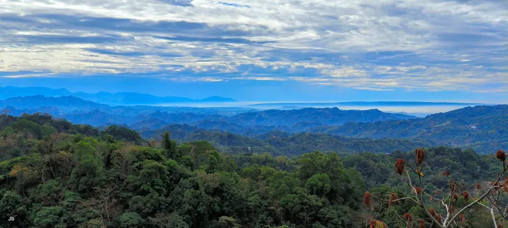 雲海在東邊近山處是白的
