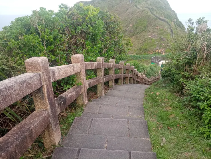 由步道視角所見之稜線