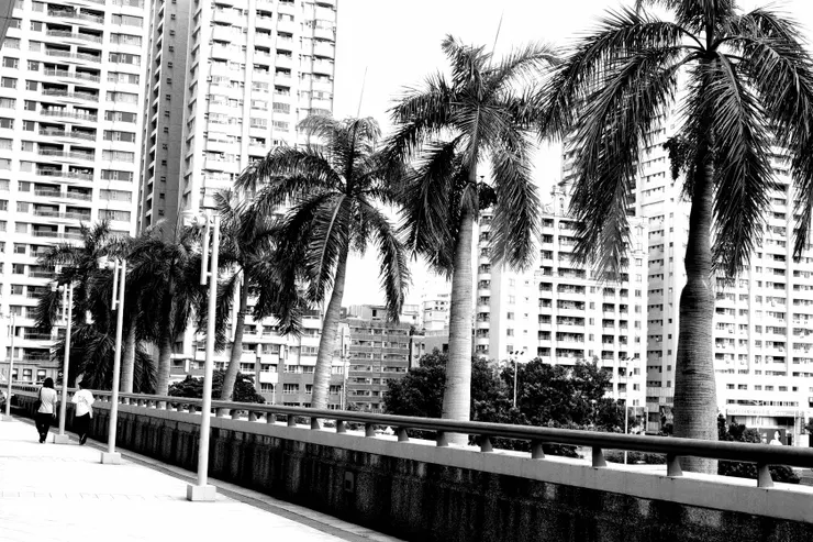 黑白的人生，黑白的高雄。