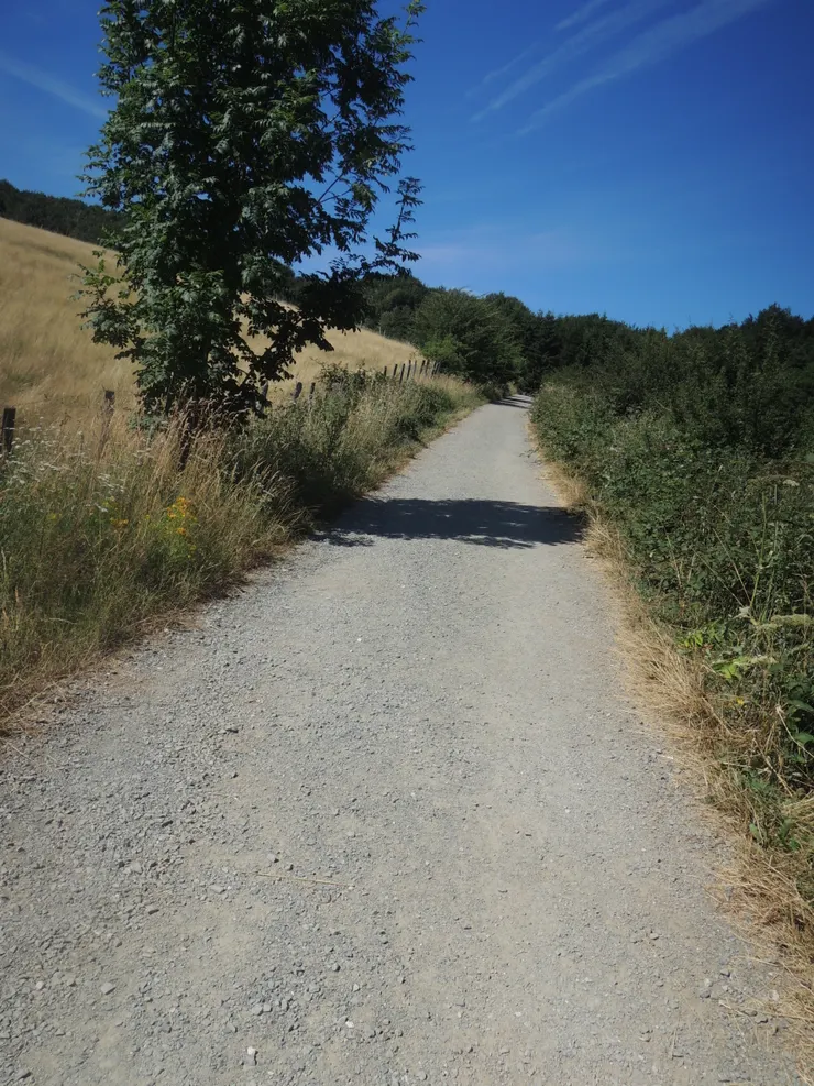 朝聖之路的路途