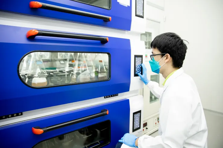 圖說：抗癌藥物朝向「精準」打擊，對於關鍵的抗體與蛋白質等生物原料，擁有成熟的開發經驗和生產技術至關重要。（資料來源：偉喬生醫）
