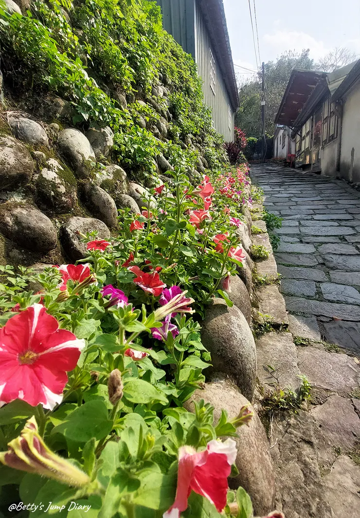 ▲桃園大溪碼頭石板古道/圖片來源：Betty's Jump Diary