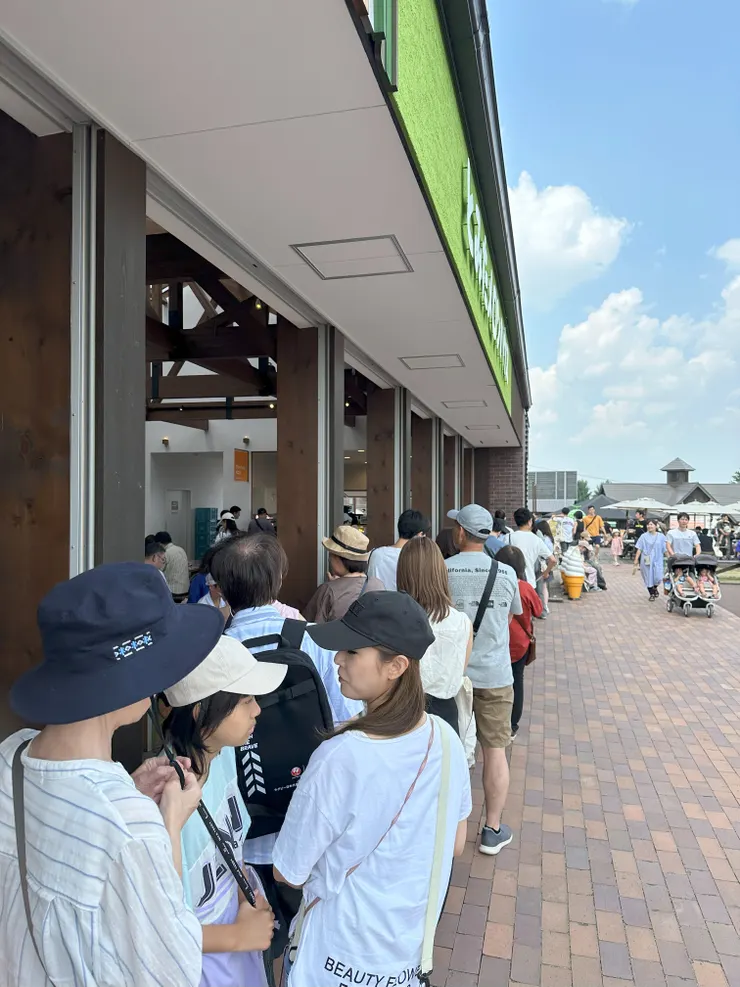 該排隊的還是要排，不然吃不到瓜呀