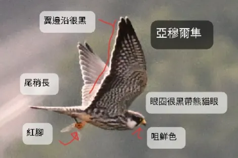 此照片由朋友Beaker拍攝