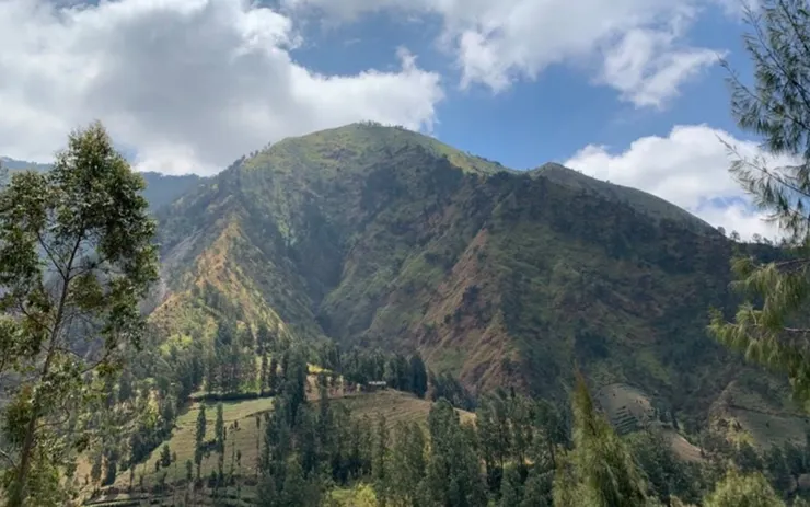 往布羅莫火山路上