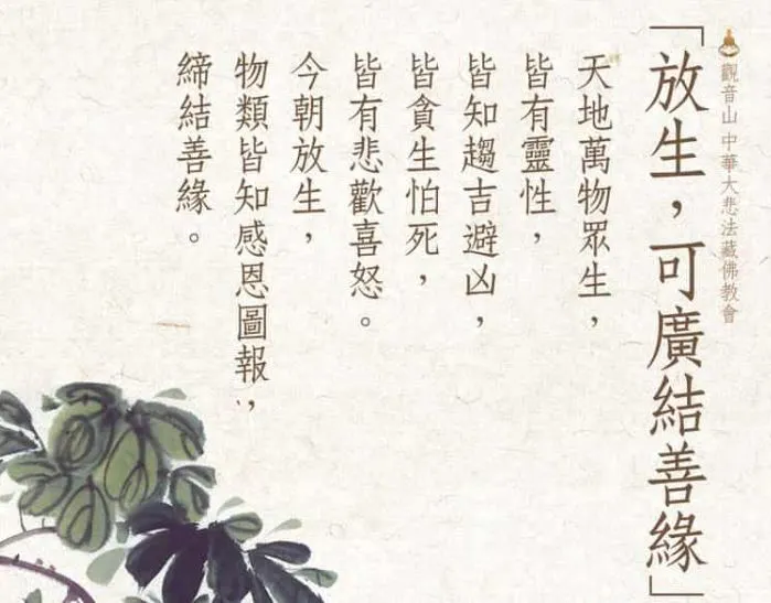 放生可以廣結善緣