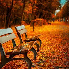 美股投資理財筆記