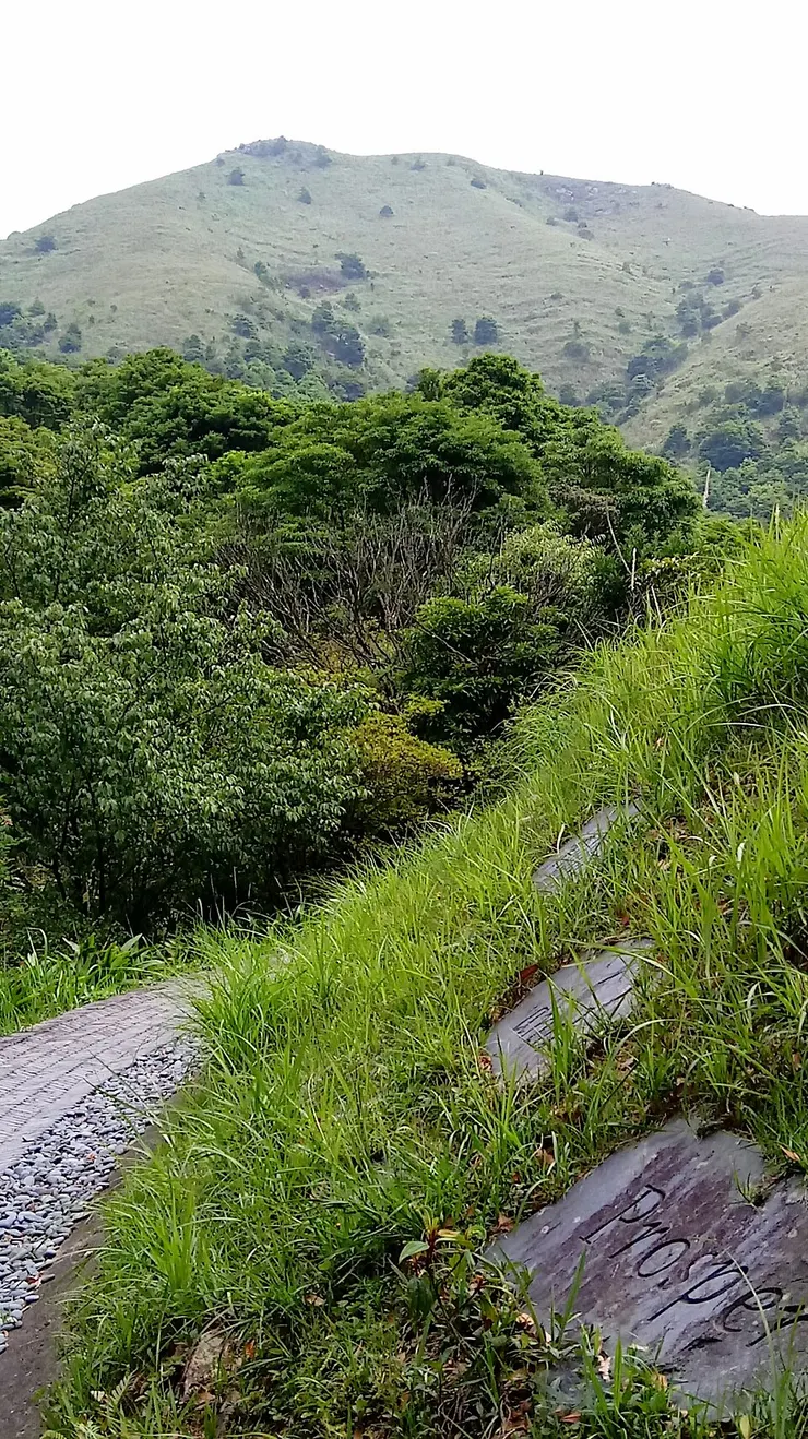 從嘉道理農場內拍攝的大帽山北坡,山坡上的梯田為茶園遺址(Photo by Daderot)