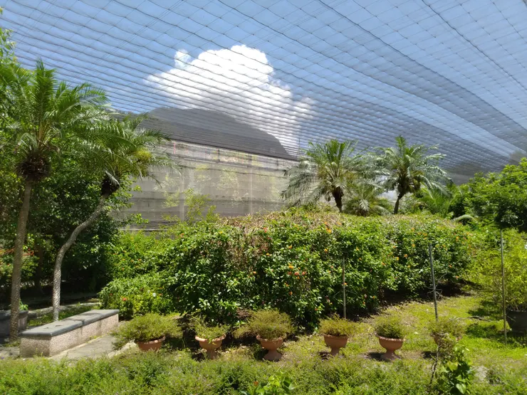 圖示：台灣花蓮新城的亞泥生態園區網室。圖片來源為張居隱：https://www.shutterstock.com/zh/image-photo/2466641917