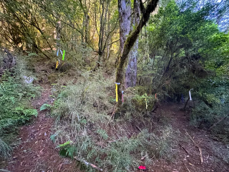 左邊是往秀魯葉山的傳統路線，右邊是新路線，我們取右