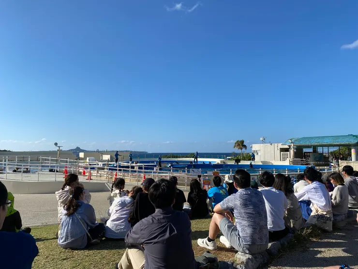 等待看餵食秀~11月中了太陽還是很曬,要注意防曬~