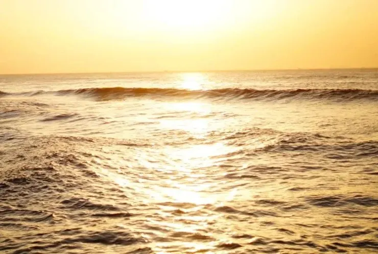 Photo by Dicson on Unsplash