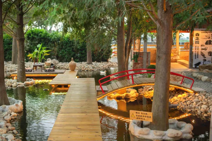 「森之院」賦予老宅新生，結合生態永續與藝術共創，打造沉浸體驗，讓來訪的旅人放慢腳步。