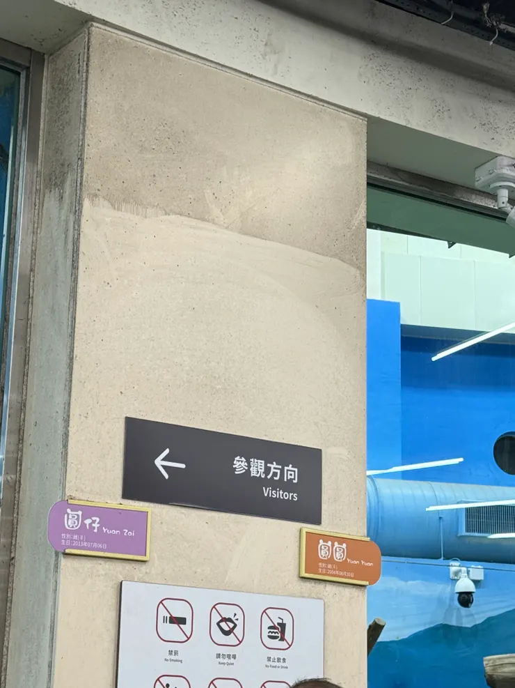 2026/02/17 熊貓告示牌