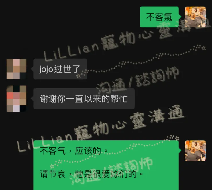 飼主文字回饋(禁止轉發)