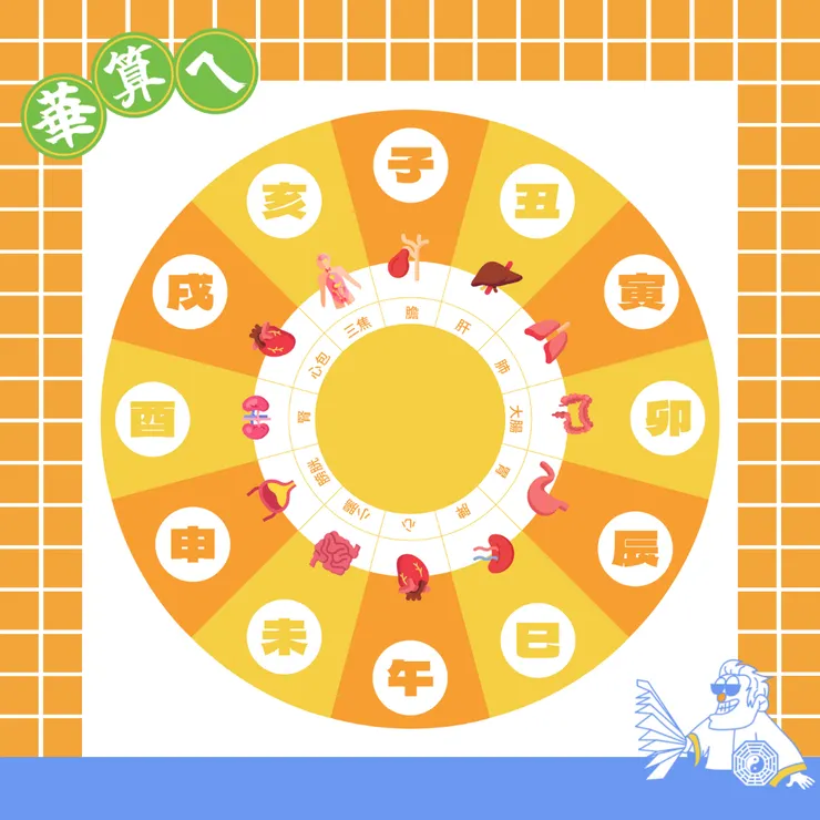 各時辰氣血走到的人體臟腑