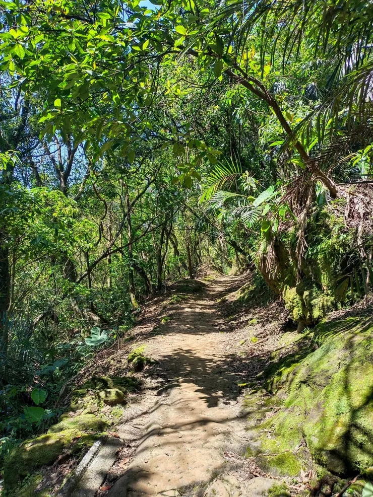 【雙北遊】三貂嶺瀑布步道走到猴硐｜中坑古道×柴寮古道  猴硐