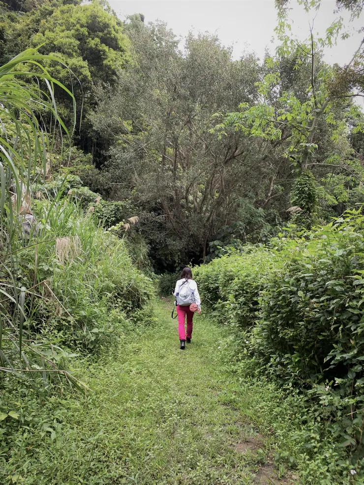 沿著山邊的泥濘小路