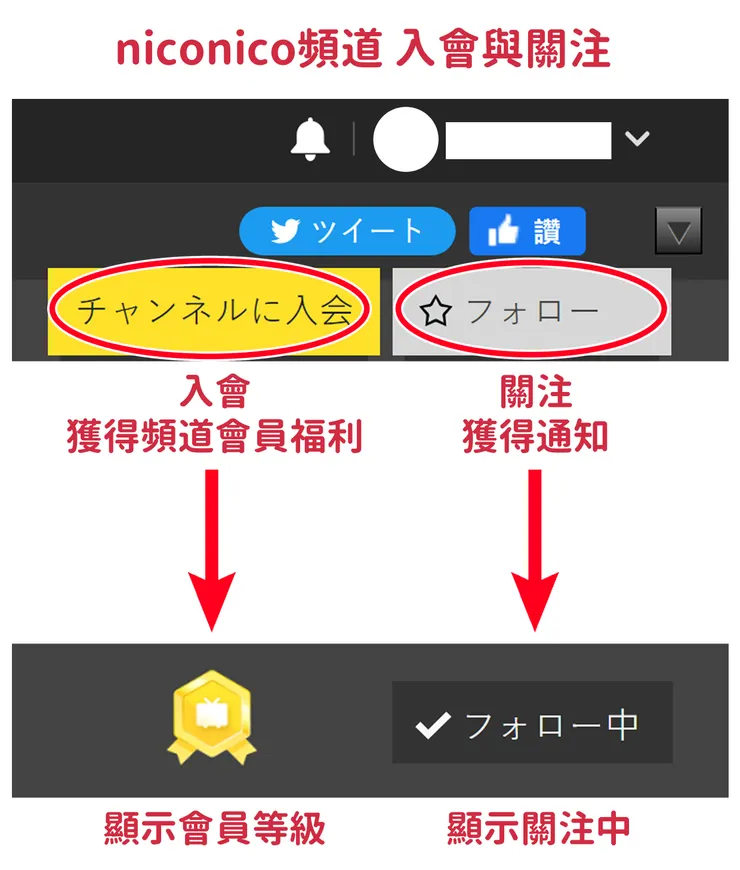 頻道入會與關注 大圖