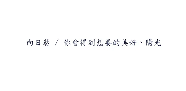 ( 牌卡正面 )