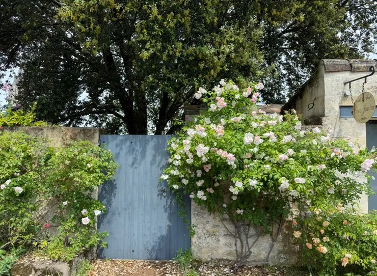 住在這𥚃,每天回家的時候應該都會很開心吧