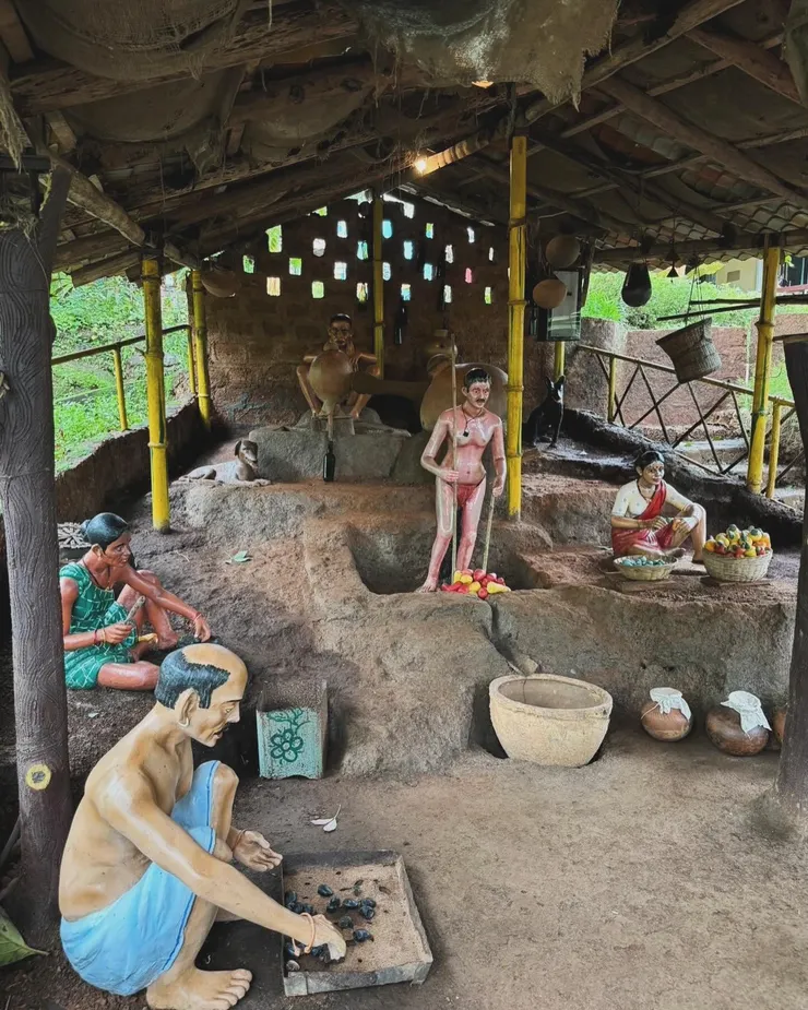 果阿腰果酒的製作過程