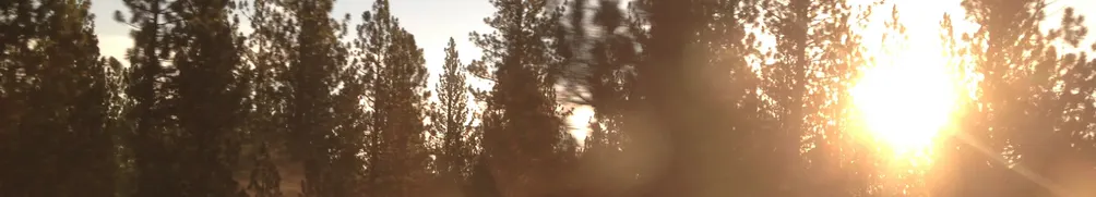 漂PEI人生的沙龍