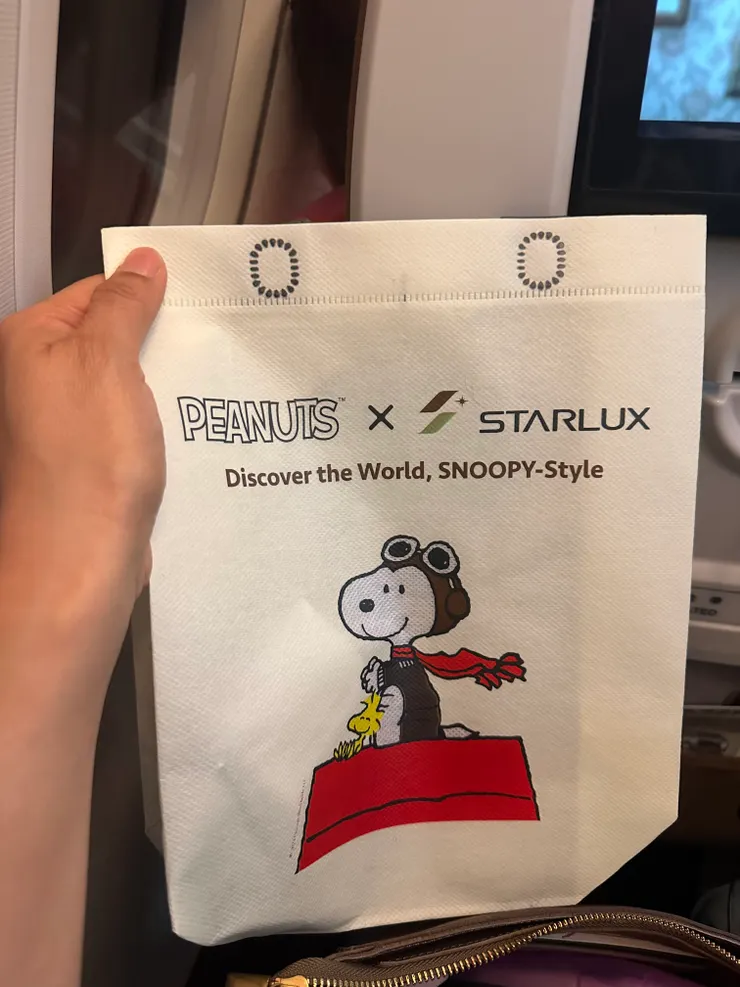 機上購物的精美購物袋