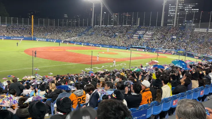 養樂多燕子隊應援