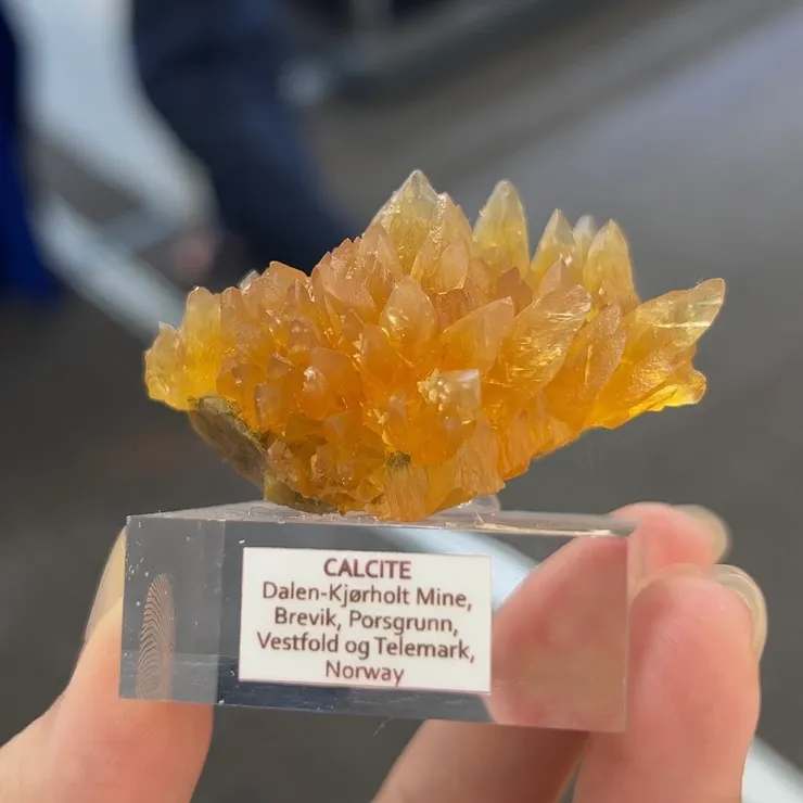 來自挪威的方解石，晶體完整度高，如蜜糖一般的顏色，很想舔一口呢！