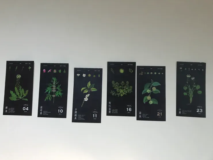 本月的櫻花全數落選，特別收錄山葵的模樣。