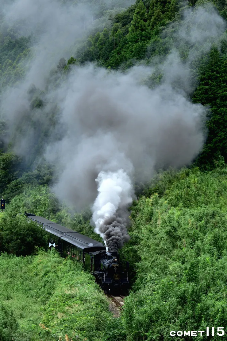 蒸汽機車專列在分道折返後朝著攝影點的方向駛來，賣力地攻上往赤水的最後一段坡
