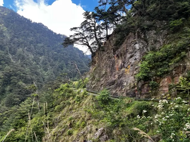 中後段平緩好走