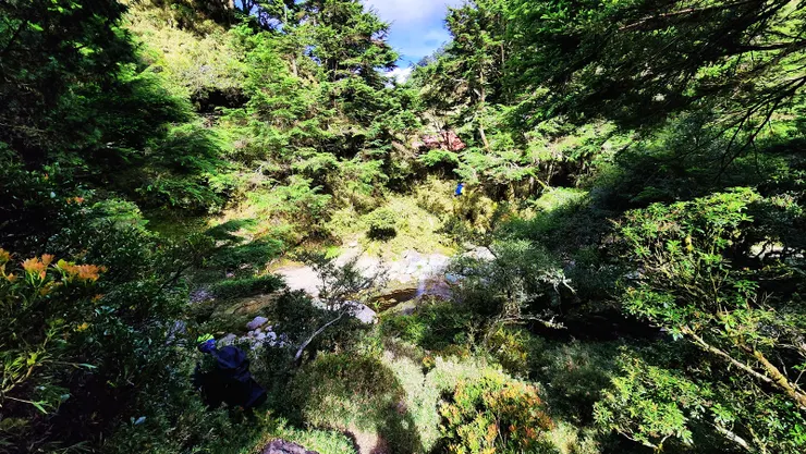 隱藏在森林裡的山屋