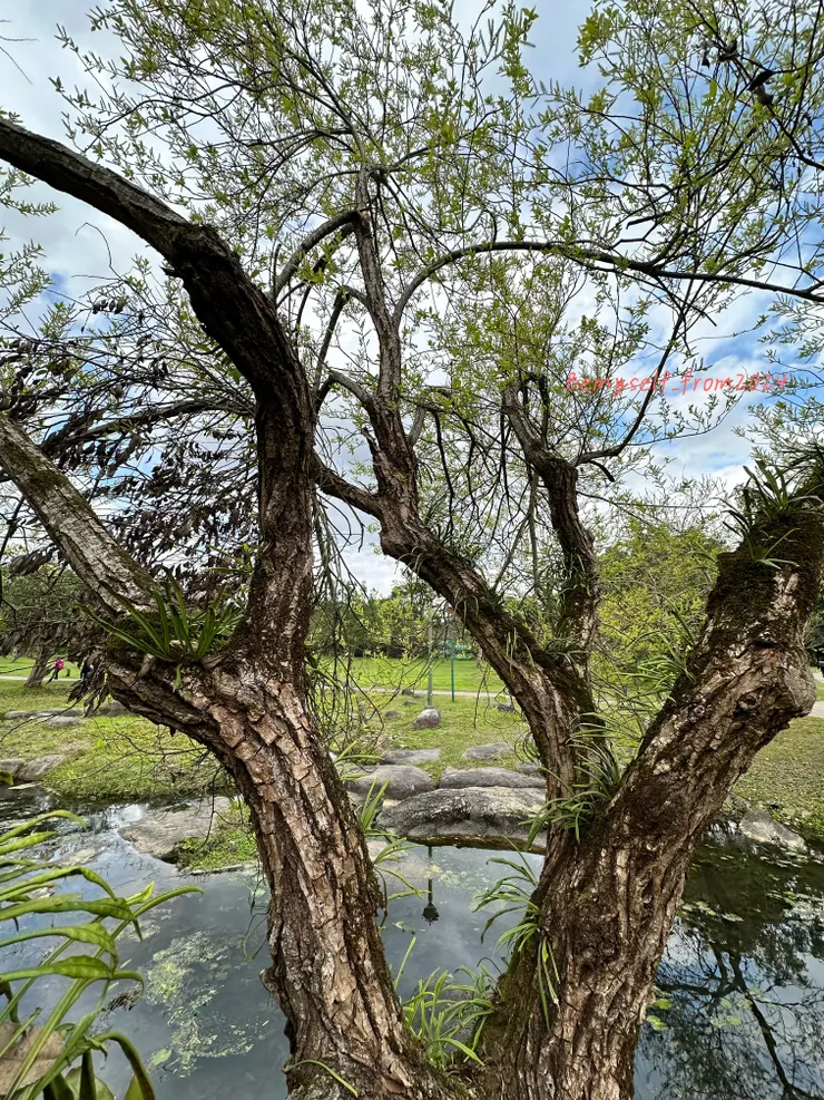 感性與理性是補足不是對立