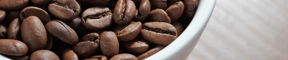 咖啡綠的豆子沙龍