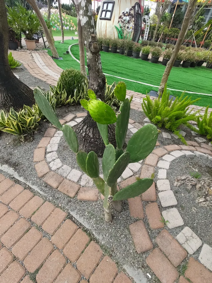 小孩的高度~120-140cm有