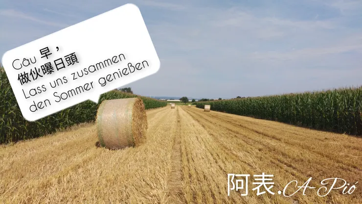 Hallo, Ich bin ein Heuballen