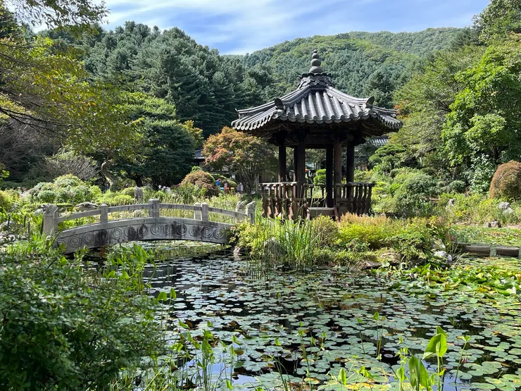 位於京畿道的晨靜樹木園，可以悠閒欣賞豐富的花卉和多個特色庭園。