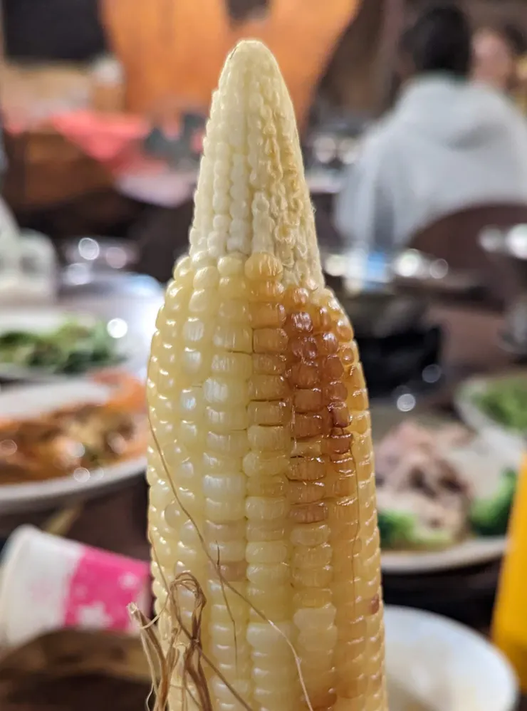 李阿姨種的玉米，上面是小玉米（玉米筍）下面是玉米，但玉米筍區域的梗居然沒有過硬，好神奇！