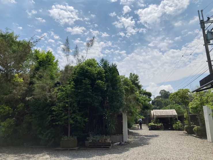 很有森林感的環境