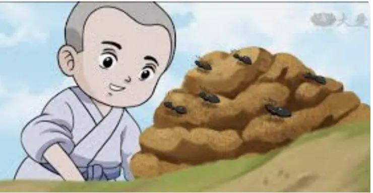 小沙彌拯救螞蟻